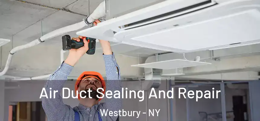  Air Duct Sealing And Repair Westbury - NY