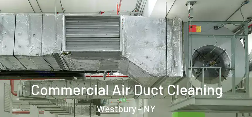  Commercial Air Duct Cleaning Westbury - NY