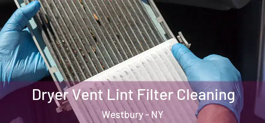  Dryer Vent Lint Filter Cleaning Westbury - NY
