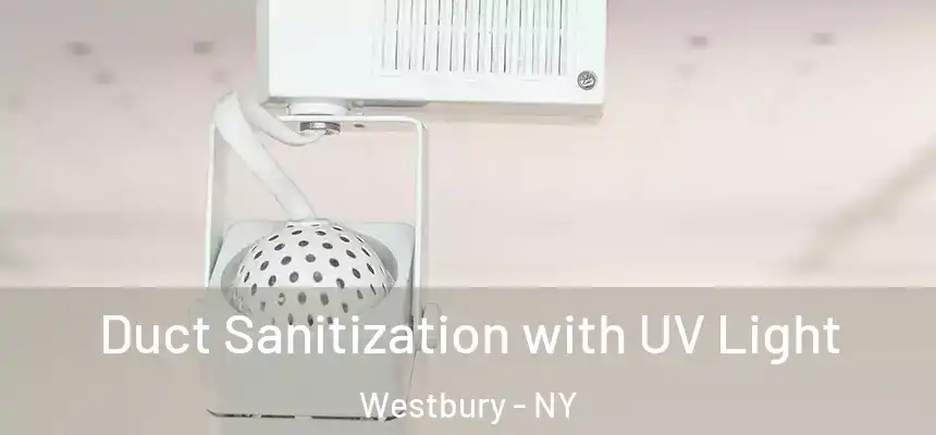 Duct Sanitization with UV Light Westbury - NY
