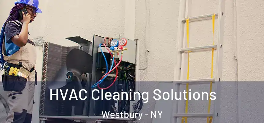  HVAC Cleaning Solutions Westbury - NY