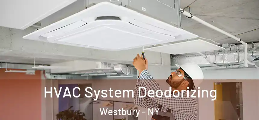 HVAC System Deodorizing Westbury - NY
