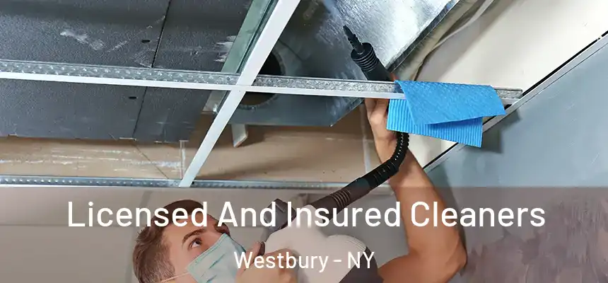 Licensed And Insured Cleaners Westbury - NY