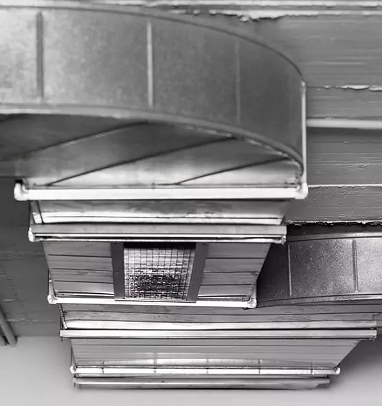 Professional Air Duct Pest Removal in Westbury, NY