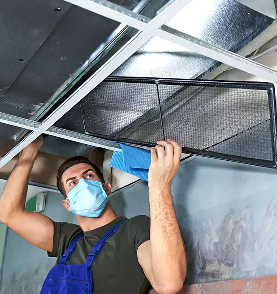 Professional Air Duct Pollen Cleaning in Westbury, NY