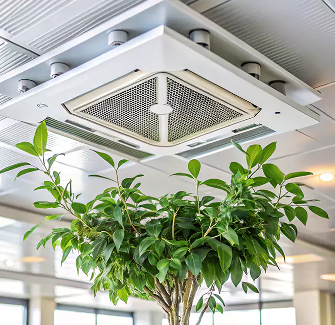 Why Homeowners & Businesses Trust Us in Westbury, NY?