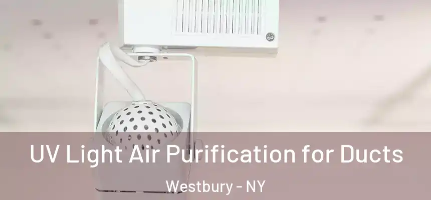  UV Light Air Purification for Ducts Westbury - NY
